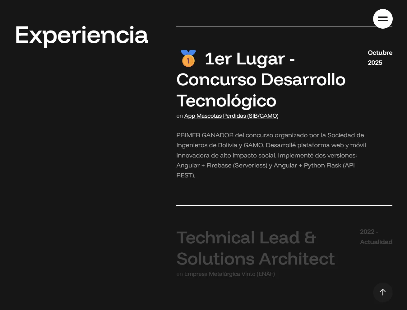 Portafolio - Sección de servicios y expertise