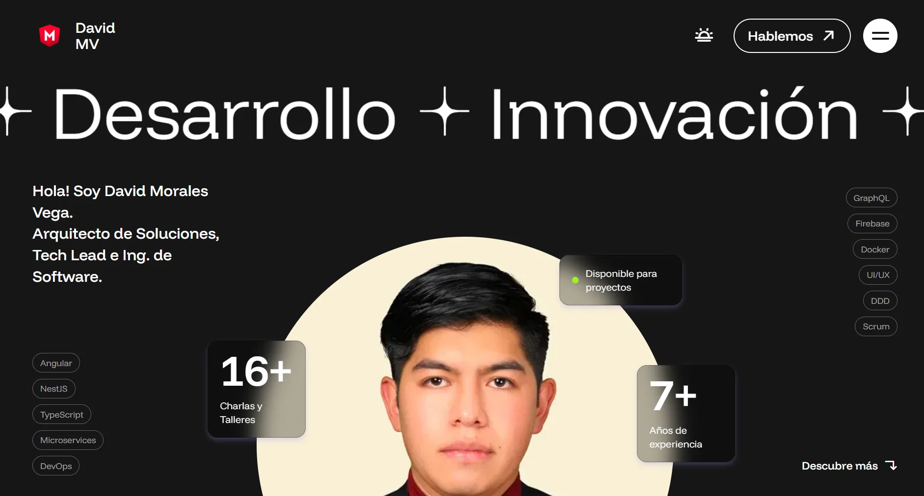 Portafolio - Vista completa del sitio web