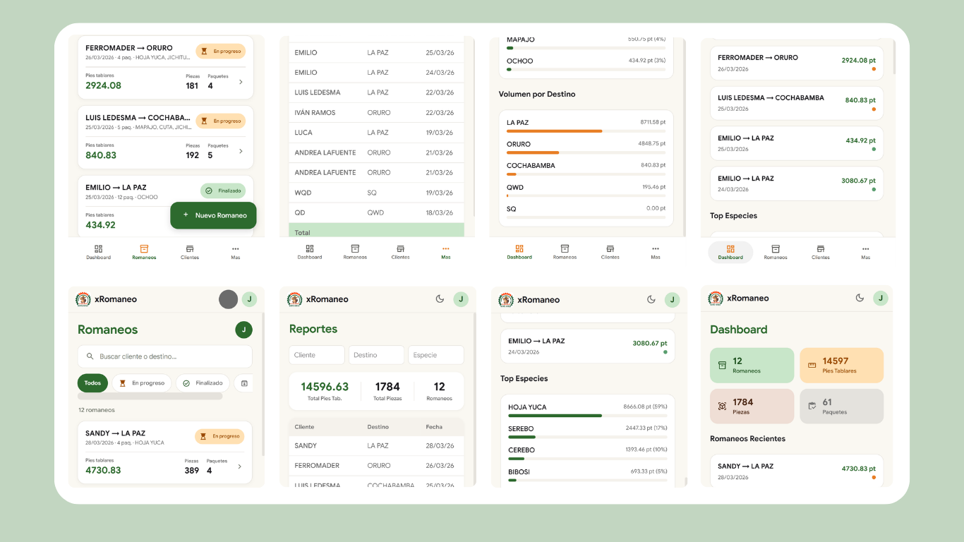 Romaneo - Vista previa general del sistema