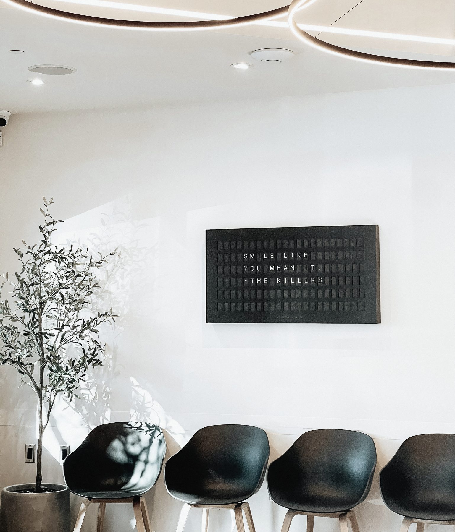 The waiting room: four black chairs and an olive tree