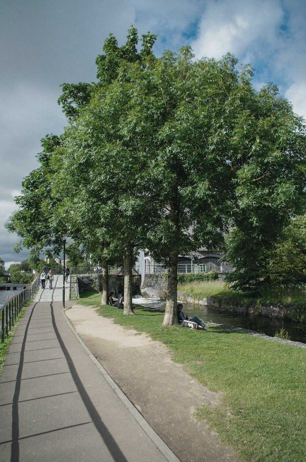 A riverside path between tall trees, with people walking in the distance