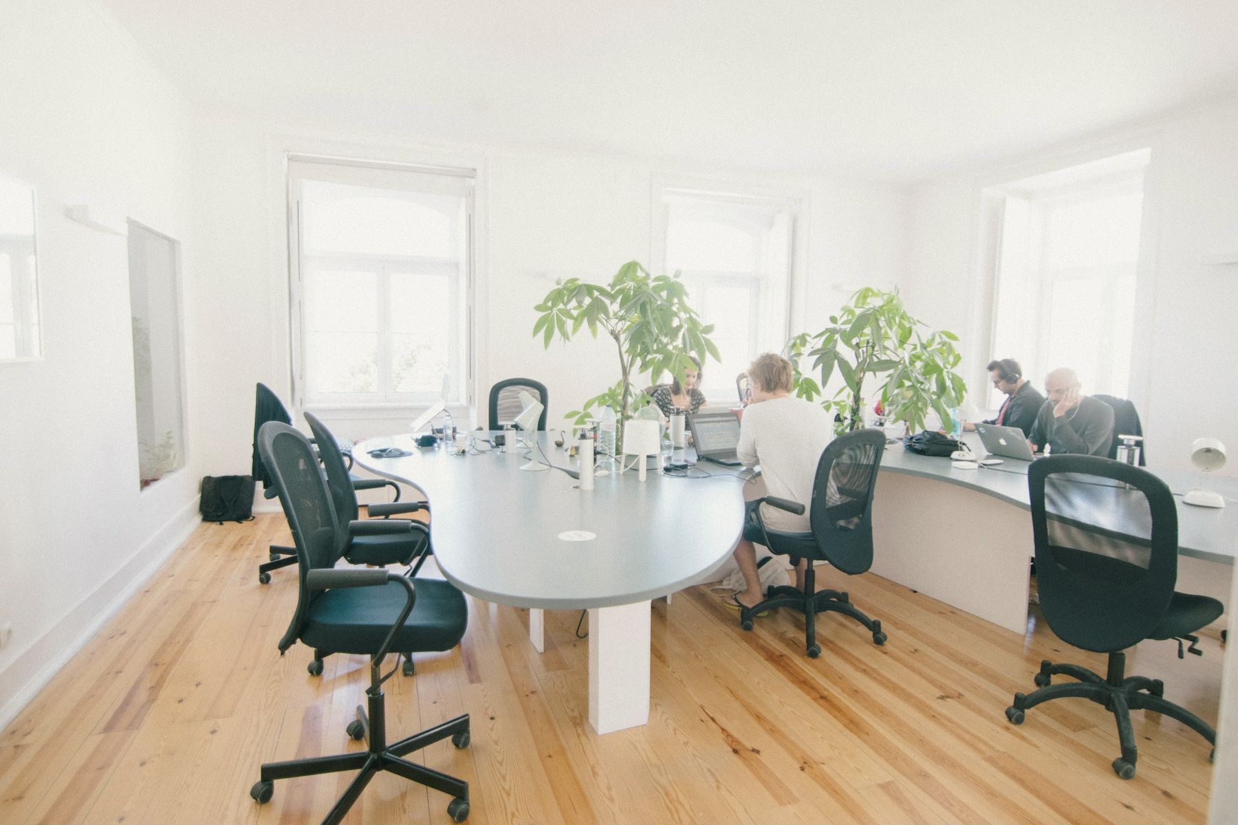 Our meeting room in San Sebastián: a long white table, chairs and plants by the window