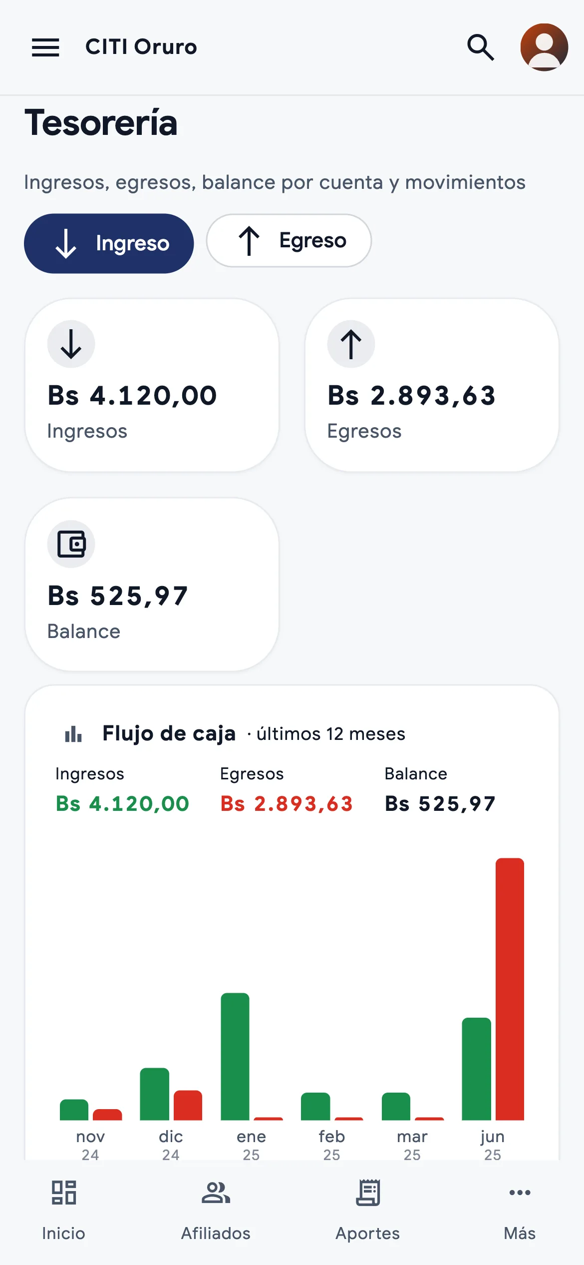 Panel del CITI Oruro en modo claro: tesorería