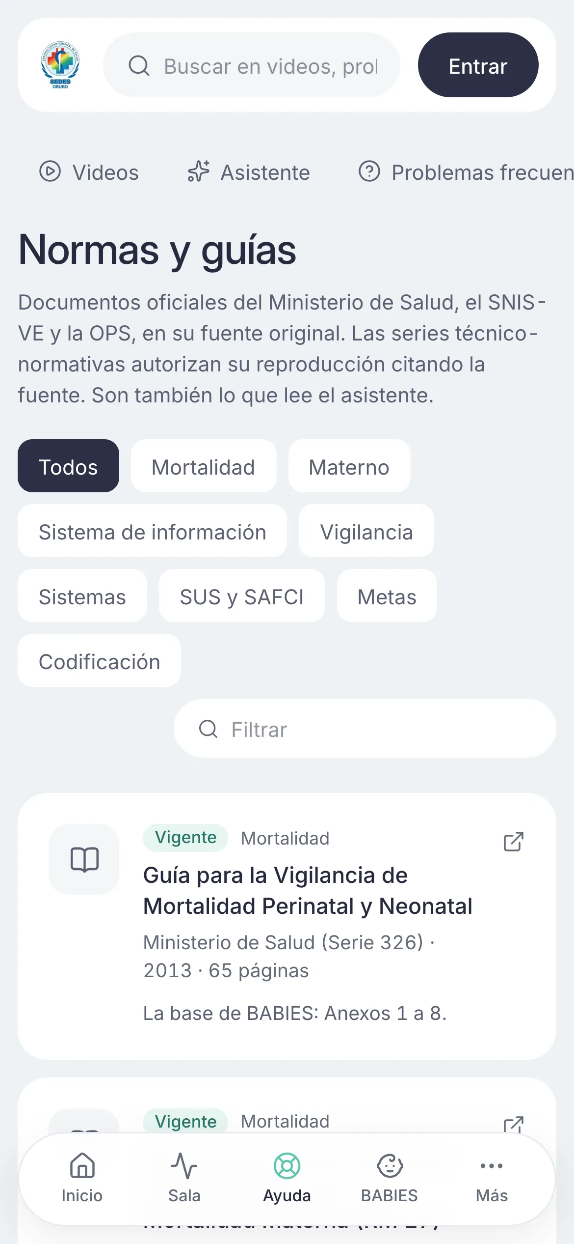 Plataforma de salud del SEDES Oruro en el celular: normas y guías