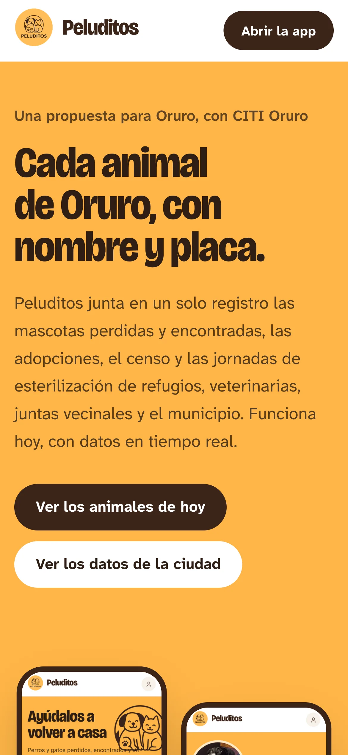 Peluditos en el celular: concepto