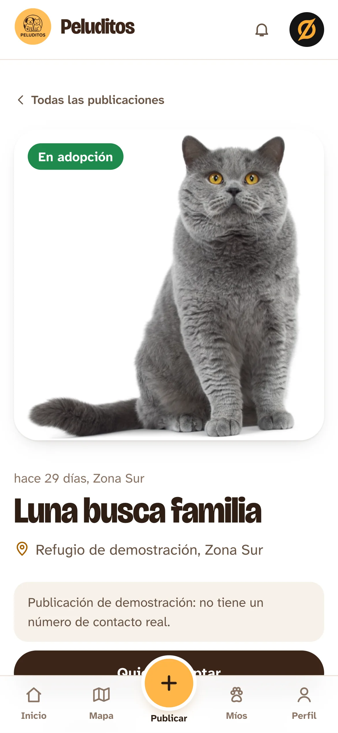 Peluditos en el celular: Luna busca familia