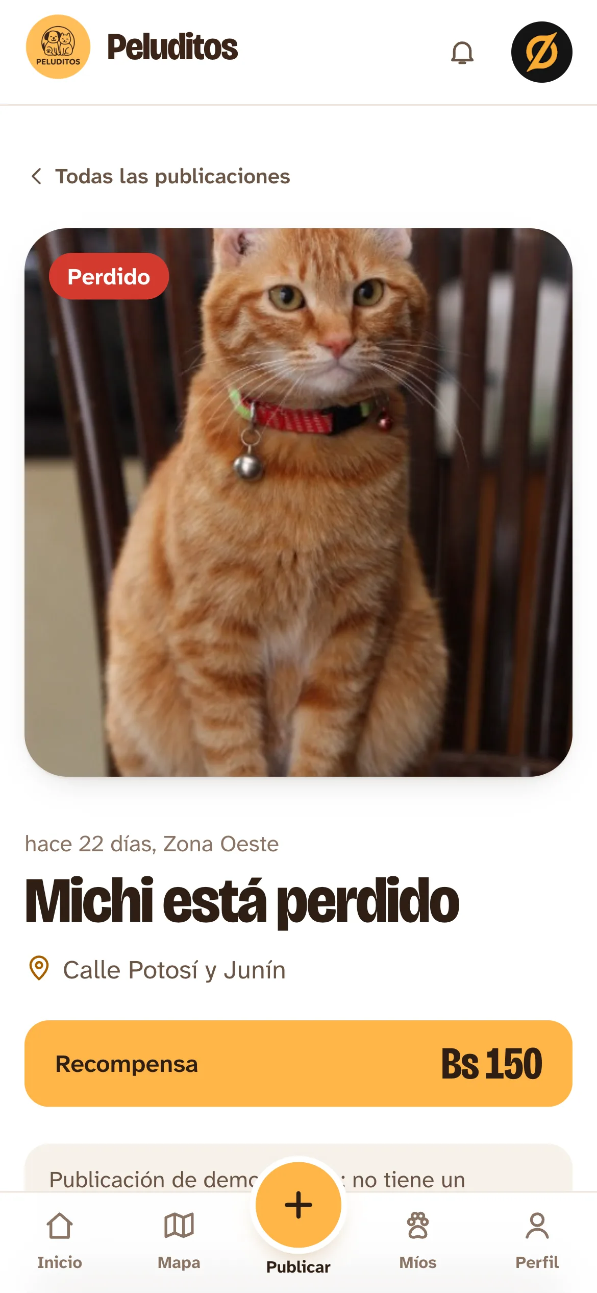 Peluditos en el celular: Michi está perdido