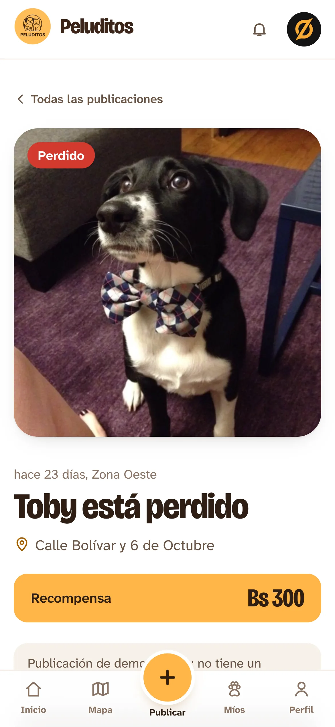 Peluditos en el celular: Toby está perdido
