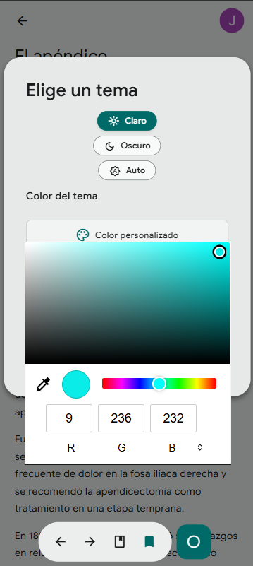 CirGuZ — tema personalizado