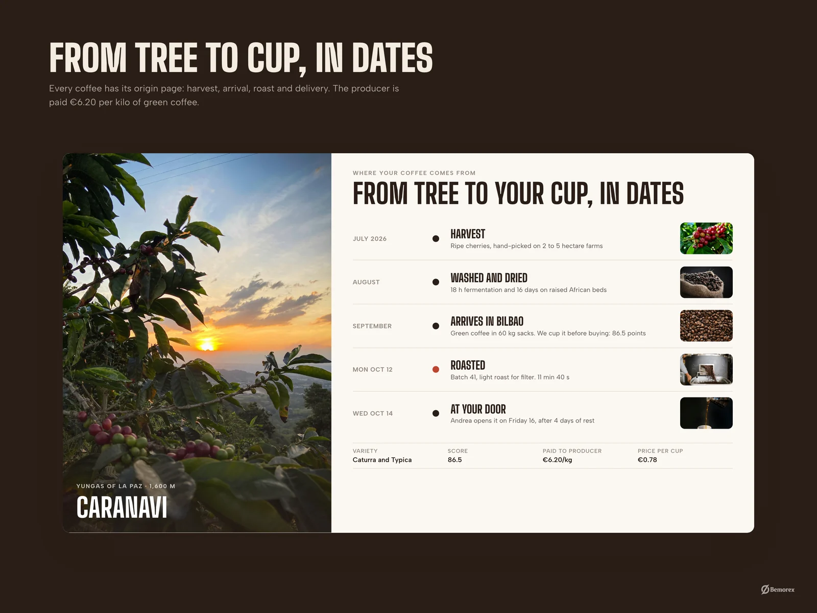 Northbean — coffee brand packaging store coffee origin