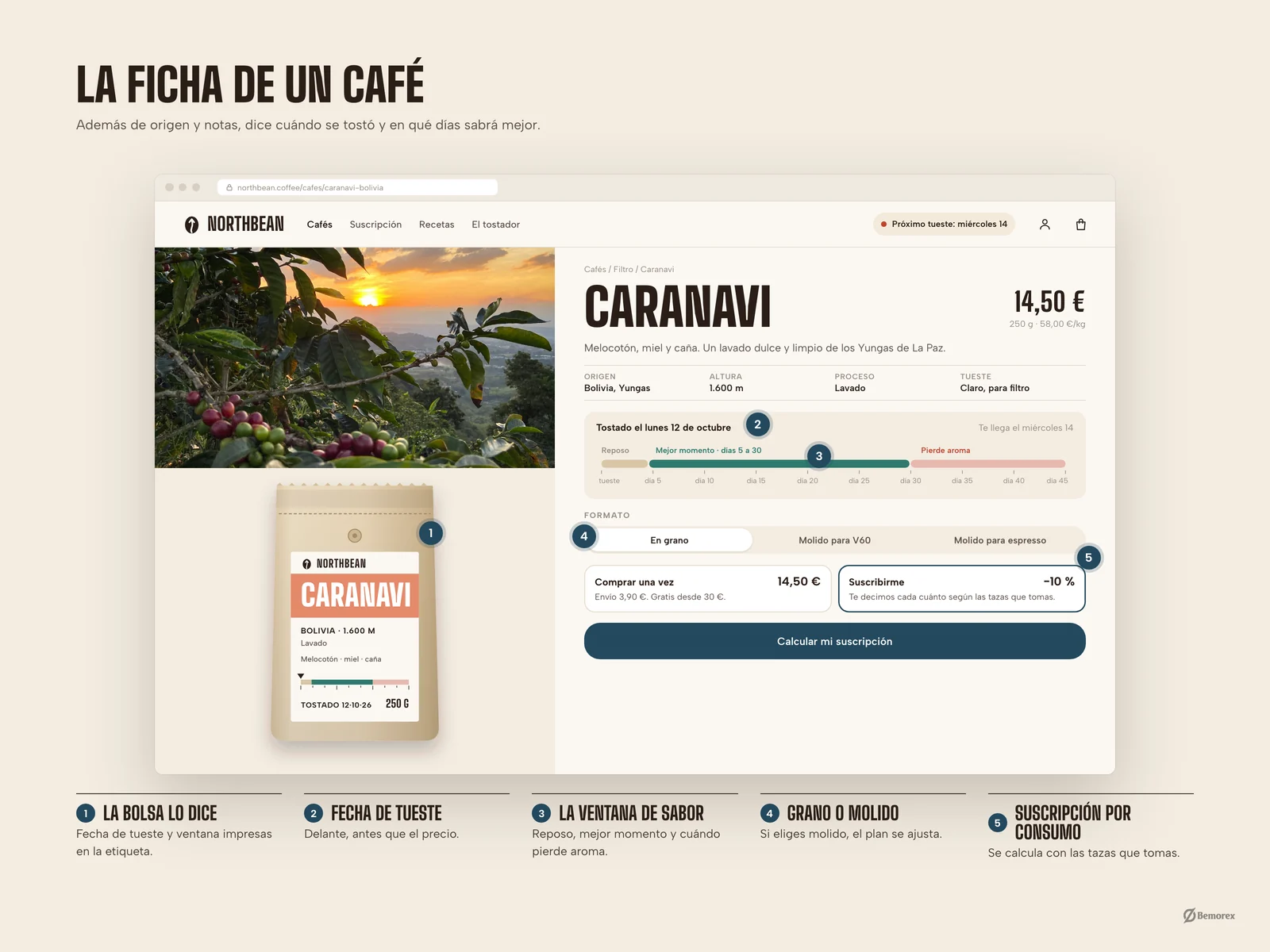 Northbean — marca packaging tienda cafe ficha cafe anotada