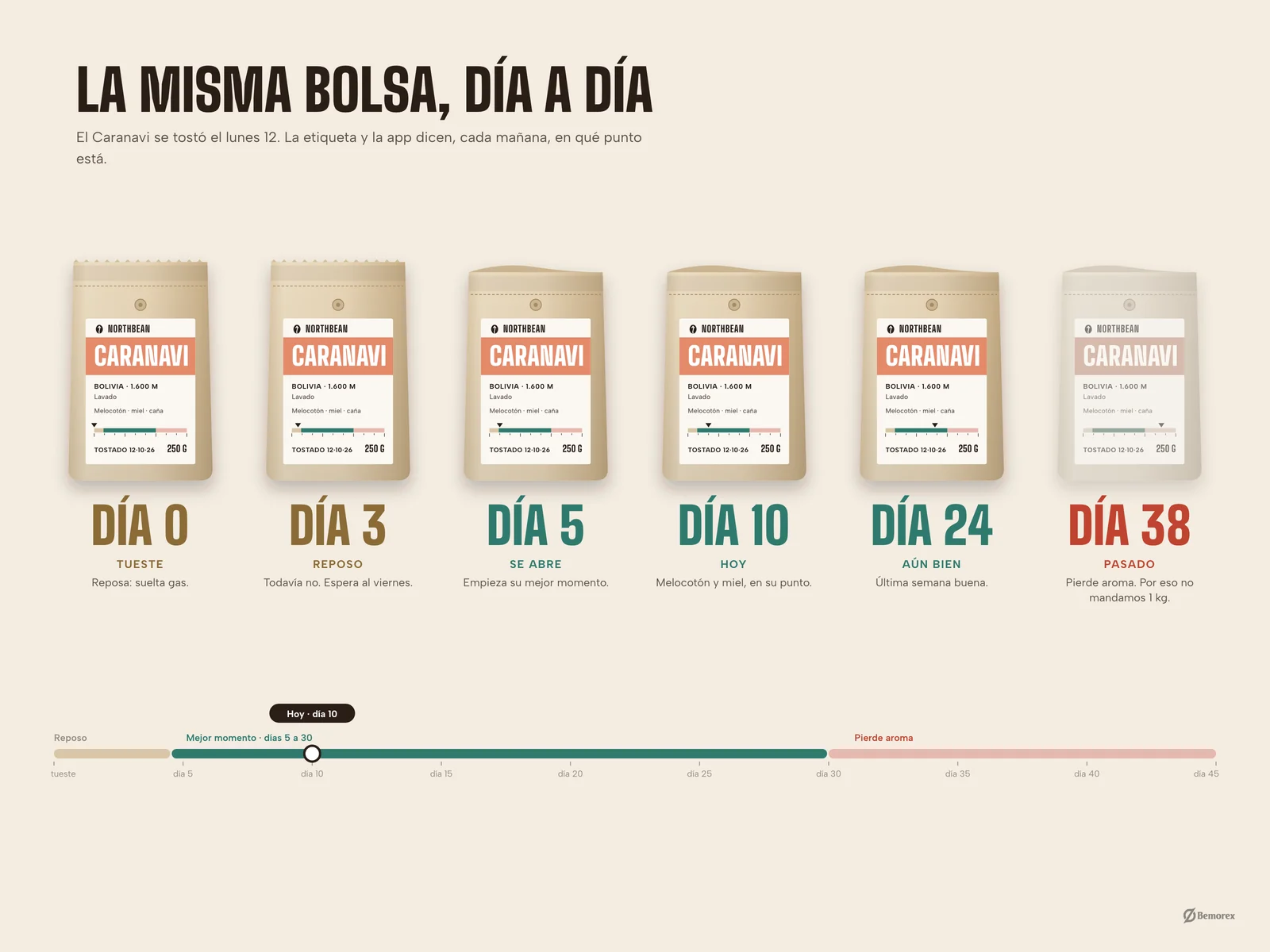 Northbean — marca packaging tienda cafe la bolsa dia a dia