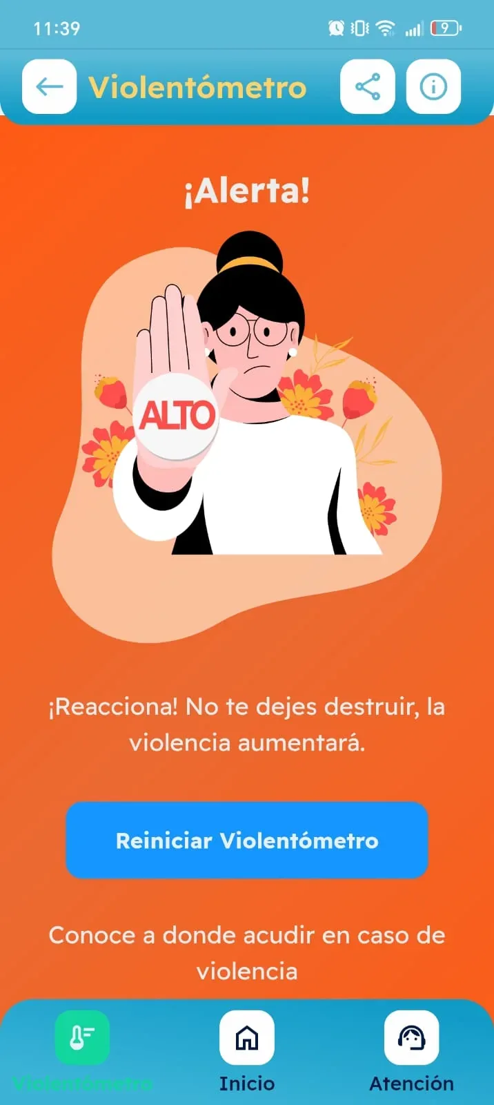 Vive Sin Miedo — tipos violencia